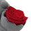 Luxuriöses Plüsch-Rosenbouquet mit ewiger Blume & 7