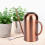 1,5 L vanningskanne for planter i rustfritt stål - lang 7