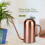 1,5 L vanningskanne for planter i rustfritt stål - lang 6