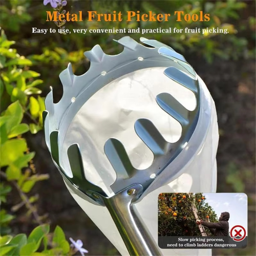 Colhedor de frutas com haste telescópica de metal 2