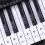 88 Keys 61 54 Transparent Piano Keyboard Stickers 8