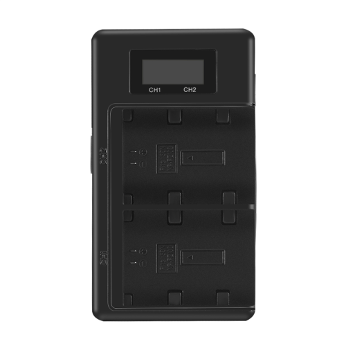 Chargeur de batterie pour Sony NP-FZ100 2