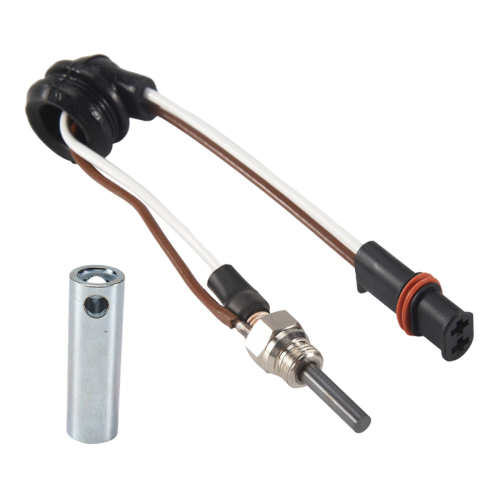 252069011300 Bougie de chauffage 12 V Broche de préchauffage pour E 2