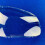 For 2001-2006 Left+Right Headlight Shell Lamp Shad 7