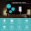 Living And Home 2000W Programmable Digital Timer Plug Socket 2