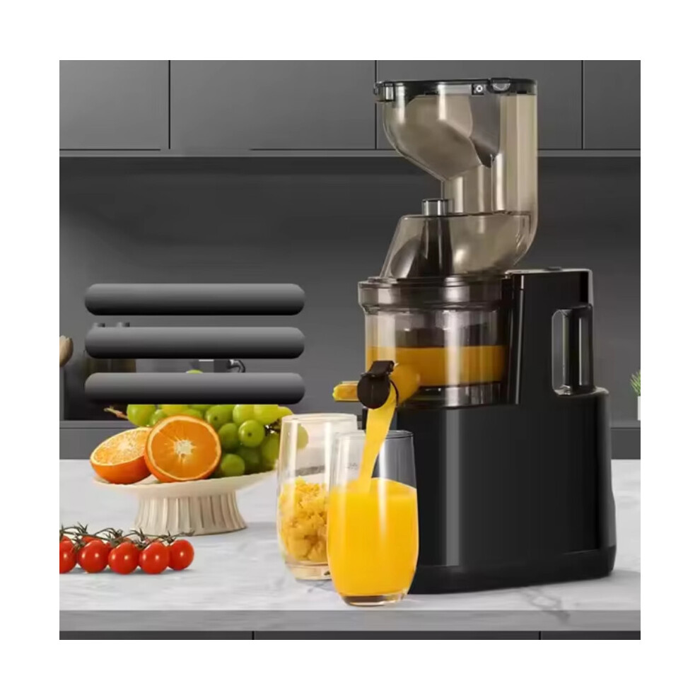 Electric Juicer Machine Slow Juicer Cold Press Squeezer Slag Juice Separator