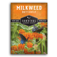 Schmetterlings-Seidenpflanzensamen zum Anpflanzen ? Packung mit Anleitung zum Anbau von Asclepias tuberosa ? Lockt Schmetterlinge an und hilft be
