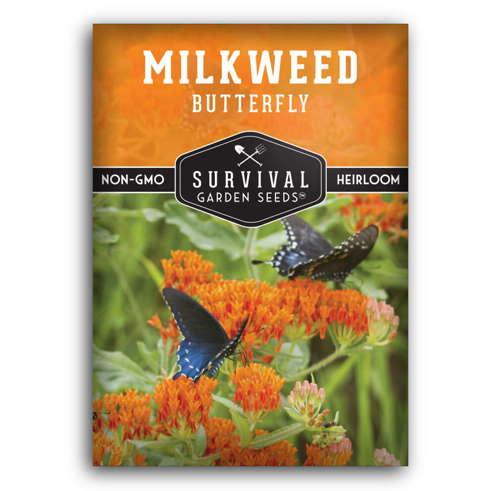 Survival Garden Seed Butterfly Milkweed Seeds For Planting - Pack With Instructions To Grow Asclepias Tuberosa - Attract Butterflies & Help Conservation - Non-Gmo Heirloo