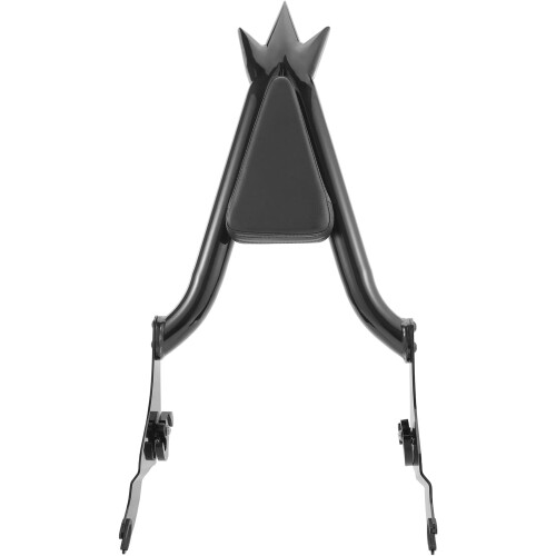 Sissy Bar for Harley Touring, Detachable Passenger Backrest Compatible with 2009 1