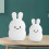 Medium Rabbit Night Light for Kids, Portable Silicone Bedside Lamp Night Lights 5
