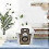 6pcs Dust Bags for Xiaomi Dreame Bot D10 Plus 3