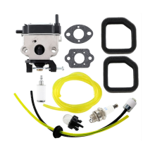 Carburateur pour souffleur de feuilles