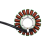 Statorspole til Triumph Daytona 955i, Tiger 955i, Speed Triple 1050 2