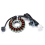 4GY-81410-01-00 generatorstatorvikling til Yamaha TTR250 TT250R 1