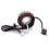 3409-026 Magneto-Alternator Statorlindning för Arctic Cat DVX400 DVX 400 2