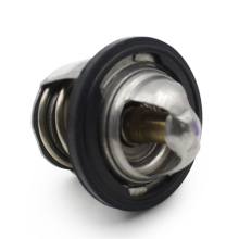 Vespa GTS300 Kühlthermostat, Silber