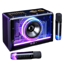 Bluetooth karaokemachine voor volwassenen en kinderen met draadloze microfoons