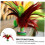 4 pieces feather Shuttlecock rooster badminton shuttlecocks step Colored shuttlecock 5