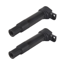 2Pcs 12137715847 Motorrad-Zündspule Kits 7715847-02 Für