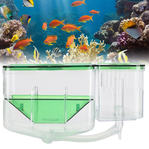 Akvarium Fisketank Avlsboks Dobbelt Lag Isolations Inkubator 1
