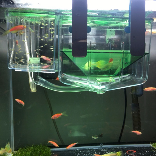 Akvarium Fisketank Avlsboks Dobbelt Lag Isolations Inkubator 2