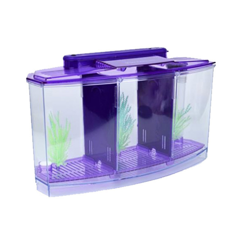 Miniakvarium, akvarium, fisketank til små fisk