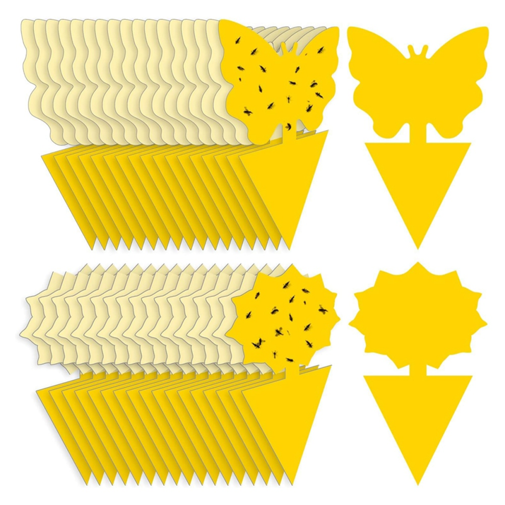 72 Pezzi Trappole Adesive Per Mosche Della Frutta Trappole Per Moscerini Trappole Per Insetti Per Piante