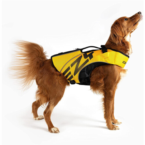 EzyDog DFD 2