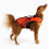 EzyDog DFD 3