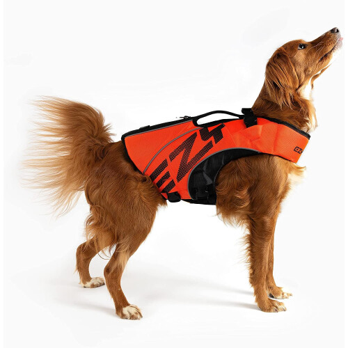 EzyDog DFD 2