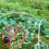 Pool Net for Garden, Balcony or Pond, Cherry Wood, 6x10m Ref: 4145 2