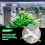 Plastic Tee Shape Aquarium 3-Way Air Valve Connectors 10 Pcs White 7