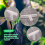 Plastic Tee Shape Aquarium 3-Way Air Valve Connectors 10 Pcs White 6