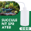 2 Pack Plant Flower Watering Bottle 250ML and 500ML 5