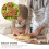 Edelstahl Fondant Kuchen Plaetzchen Ausstechform Puzzle Form 4 Stueck 5