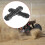 2Pcs Plastic Sand Ladder for 1:10 RC Crawler Axial Black 5