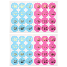 48 StüCk Gender Reveal Aufkleber Spiele Team Boy & Girl Perfekt Party ZubehöR und