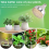 E27 Plant Lamp Light Bulb 35W LED Grow 6