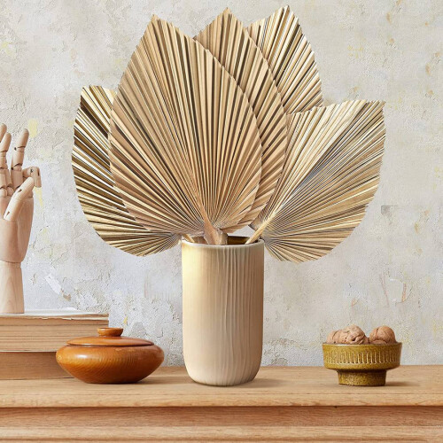 5Pcs Natural Dried Palm Leaves Fans Boho Dry Decor 2