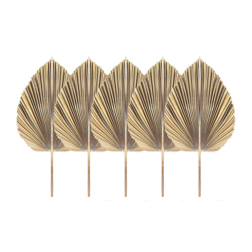 5Pcs Natural Dried Palm Leaves Fans Boho Dry Decor