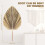 5Pcs Natural Dried Palm Leaves Fans Boho Dry Decor 4