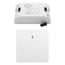 Drahtloser Intelligenter Licht Schalter 433MHz Beleuchtung Steuerung AC 90-250V 10A (1 W und 1 C)