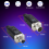 Drahtloses Mikrofon-Sender-EmpfäNger-System mit Kabel-Zu-Wireless-Adapter für Kondensator 5V/Dynamic 48V Universal 7