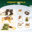 6Pcs Christmas Napkin Rings Xmas Holder Wreath 6