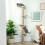 PawHut Wall Mounted Cat Shelves with 4 Climbing Platforms for Indoor, Light Grey 1