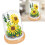 Sonnenblumen-Pflanzenblöcke Mini-DIY-Set mit Deckel 9