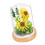Sonnenblumen-Pflanzenblöcke Mini-DIY-Set mit Deckel 4