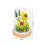 Sonnenblumen-Pflanzenblöcke Mini-DIY-Set mit Deckel 8