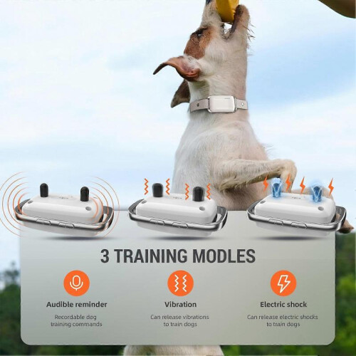 Bark Collar One to Two Remote Control IP67 Water Resistant Bark Collar for Medium Dogs 2