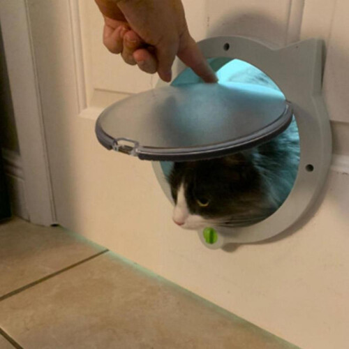 Cat Flap Door Magnetic 4 Locking Modes Safe Plastic Automatic Cat Door for Interior Exterior Doors White 2